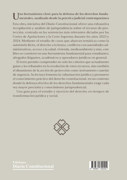 Tendencias jurisprudenciales. Recurso de protección (2023-2024)