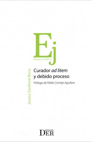 Curador ad litem y debido proceso