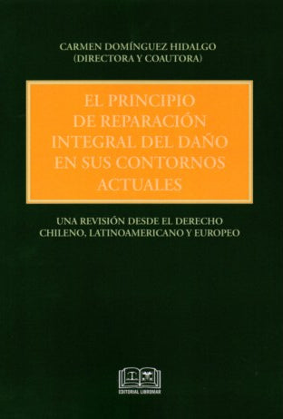 El principio de reparación integral del daño en sus contornos actuales