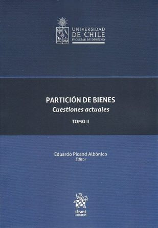 Partición de bienes. Cuestiones actuales Tomo II